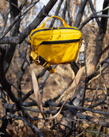 Goldernrod Yellow  All-Terrain Pack